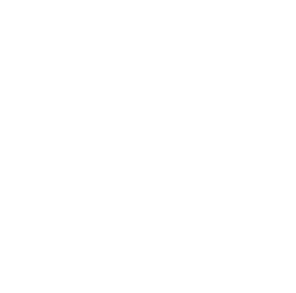 Stemmen op activiteiten